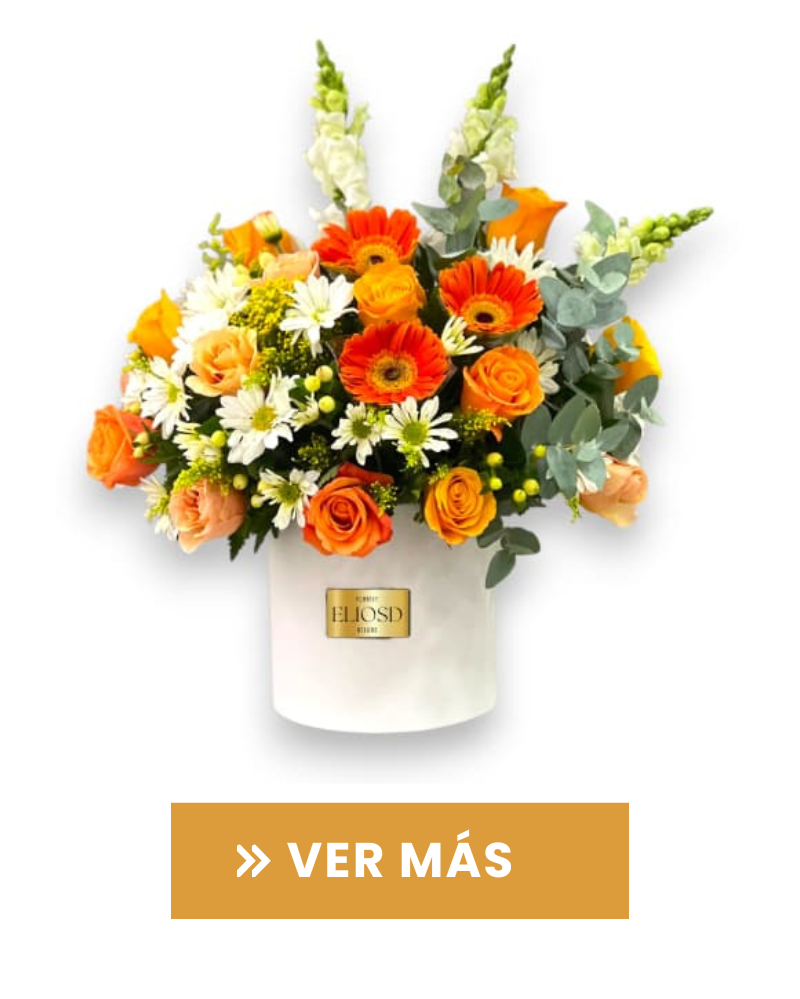 Feliz Cumpleaños
