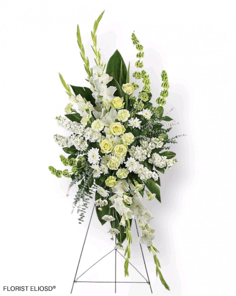 Funeral paz 