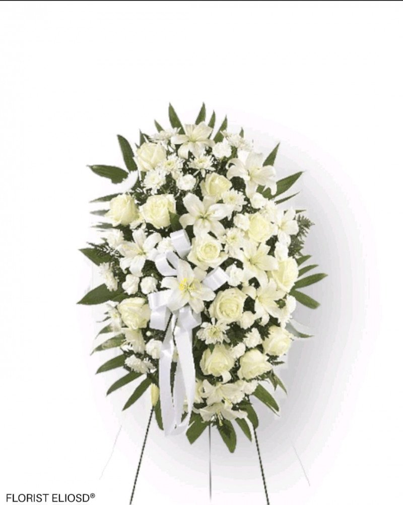 Fúnebre estrella blanca 