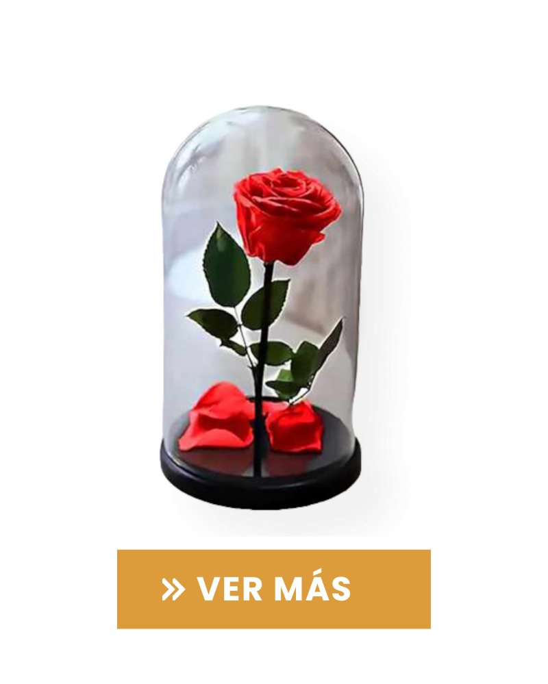 ROSAS ETERNAS 🌹