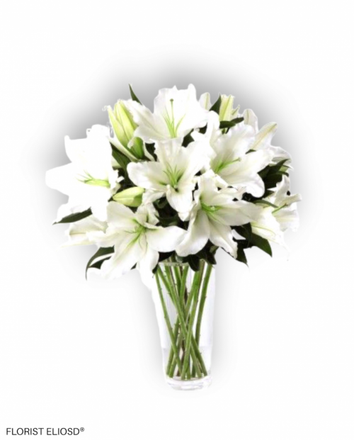 Liliun 