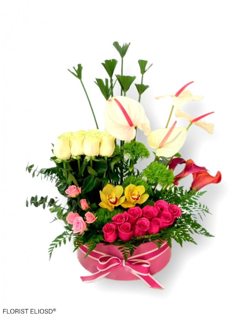 Amor orquídea 
